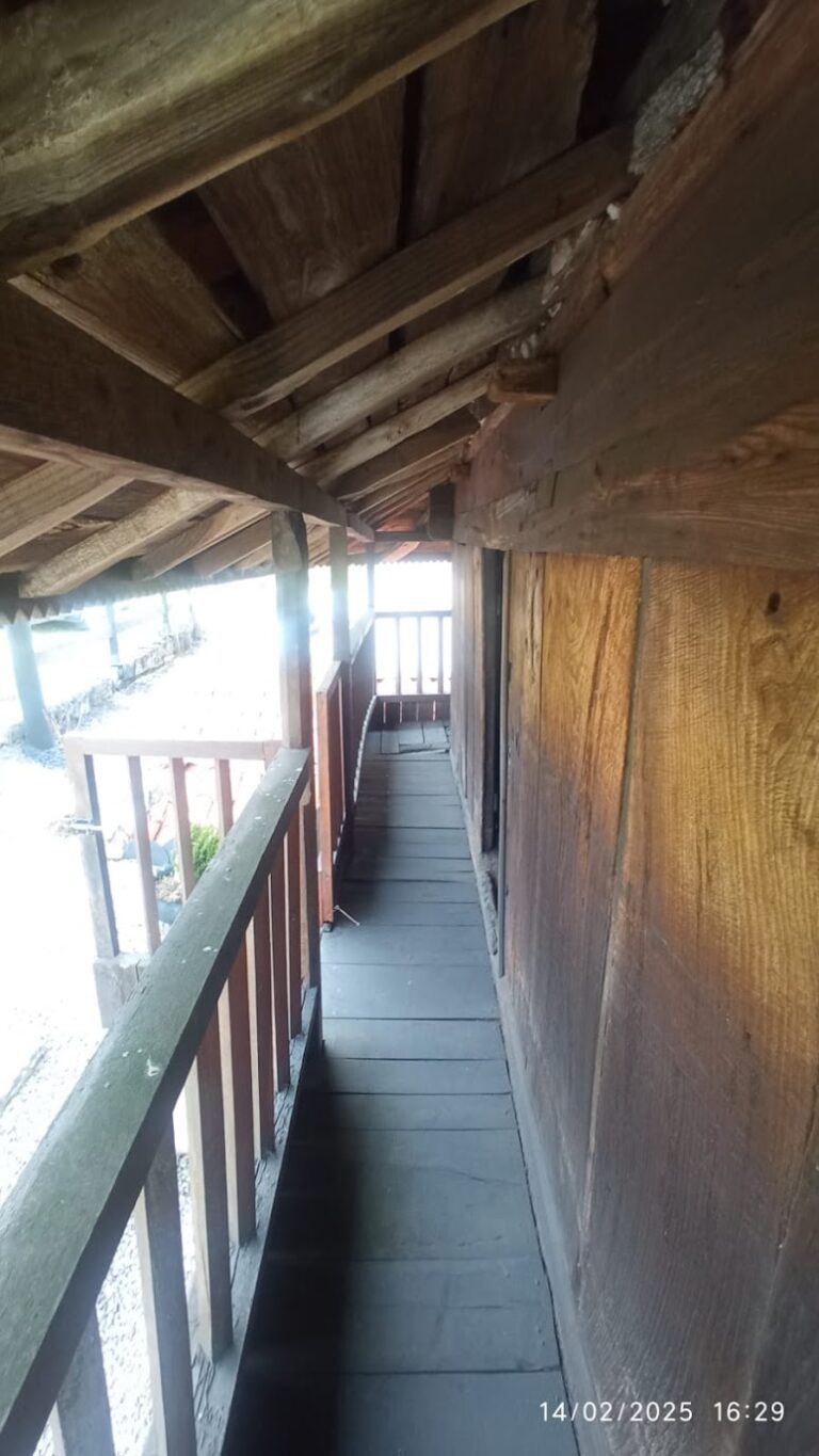 IMG-20250221-WA0022