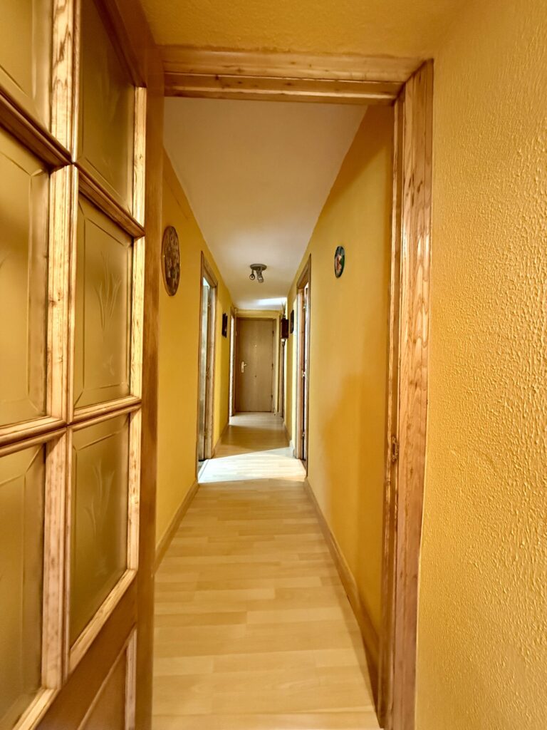 IMG_3355