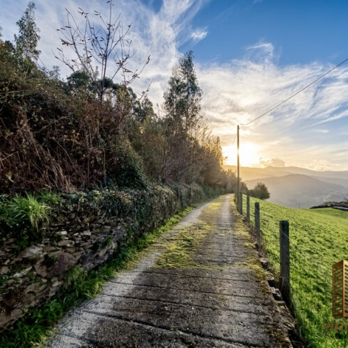 IMG_0616
