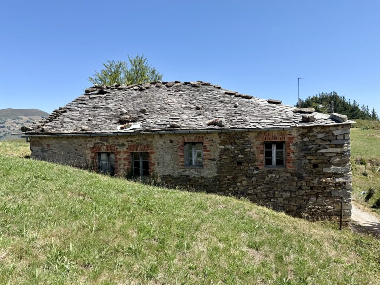 IMG_9973